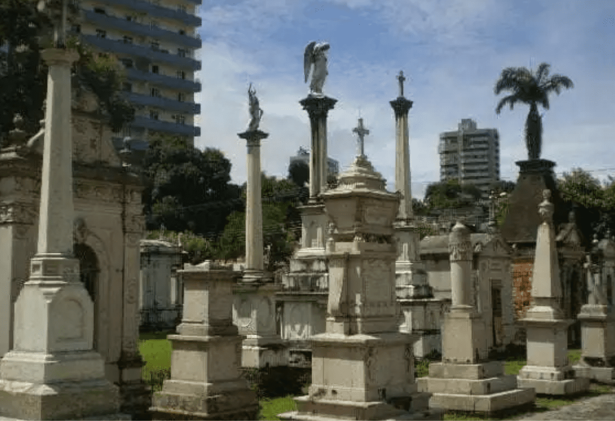 Camille Monfort: The True Story of the Legend The Amazonian Vampire