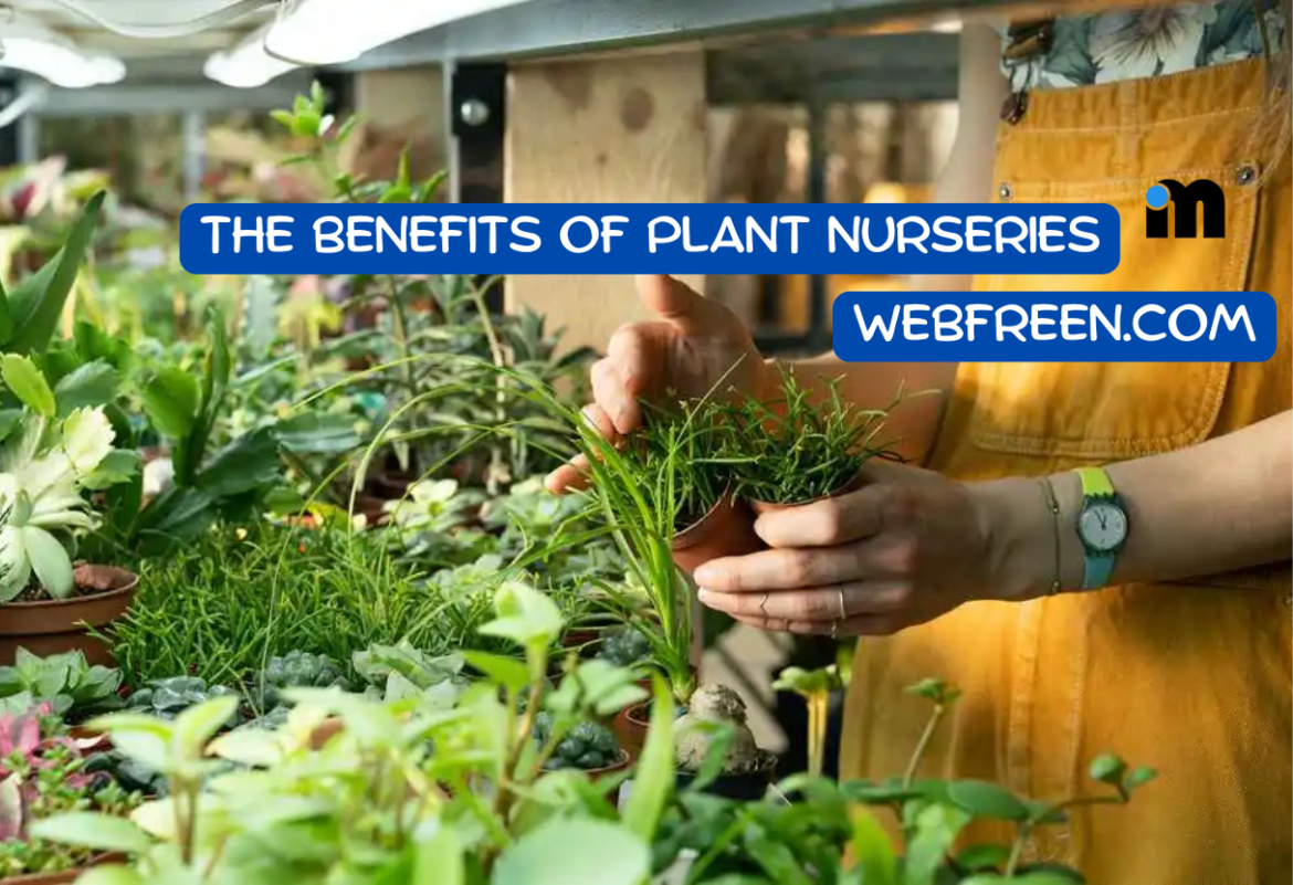 The Benefits of Plant Nurseries Webfreen.com: Your Complete Guide